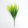 Pteris amarillo 28cm
