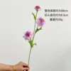 fiore selvatico [viola chiaro]