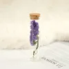 N'oubliez pas violet