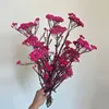 Rosa oscuro