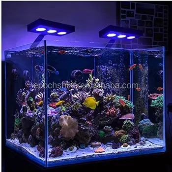 SPECTRA M029 Aqua Knight 30W LED Light for Coral Reef & Nano Fish