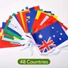 Bunting flag