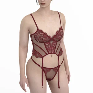 Women's Seamless Sexy Hot Lingerie Corset Bra Panty Set Underwire Bra Briefs with Lace Embroidery Bodysuits