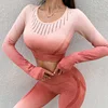 Gradient pink long sleeve