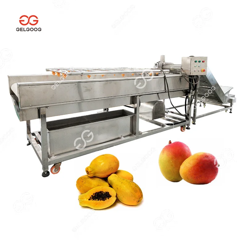 Mango Sorting and Quick Drying Machine - Efficient Fruits Processing