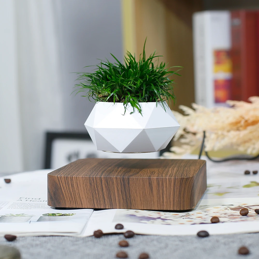 Magnetic Levitating Plant Pot Floating Plant Magnetic Levitation ...