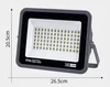 100w-high-end elegant floodlight