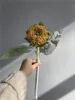 #3 sunflowers