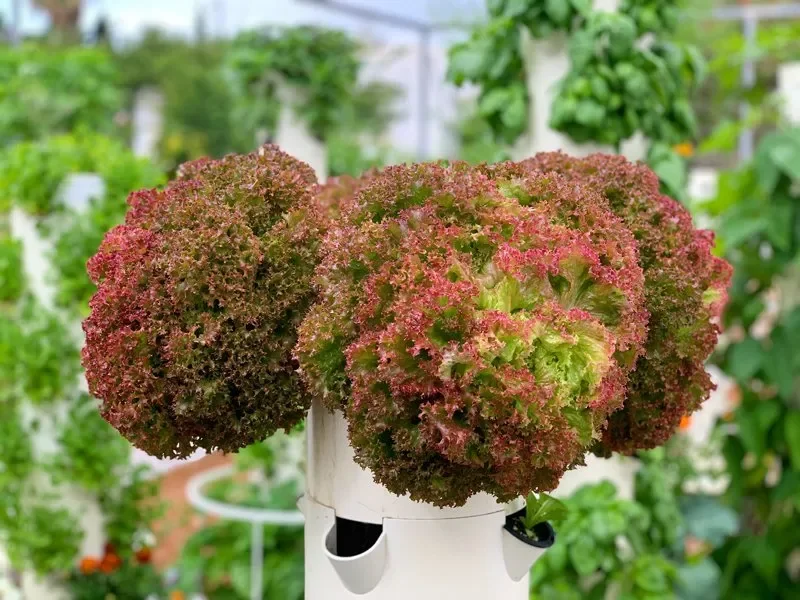 indoor hydroponic garden tower
