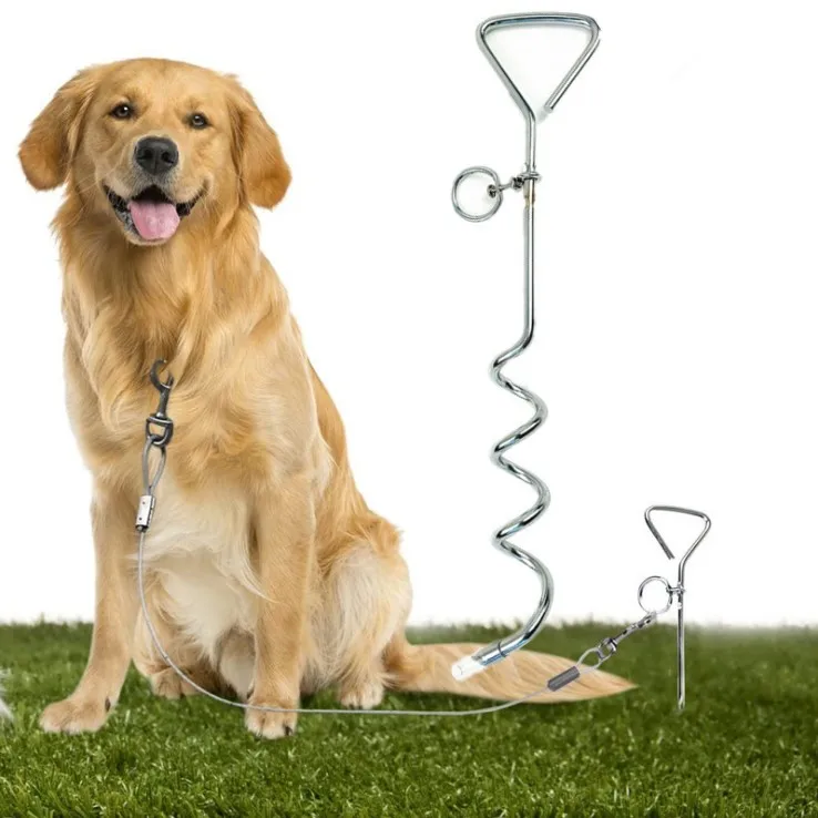 Stake and clearance leash for dogs