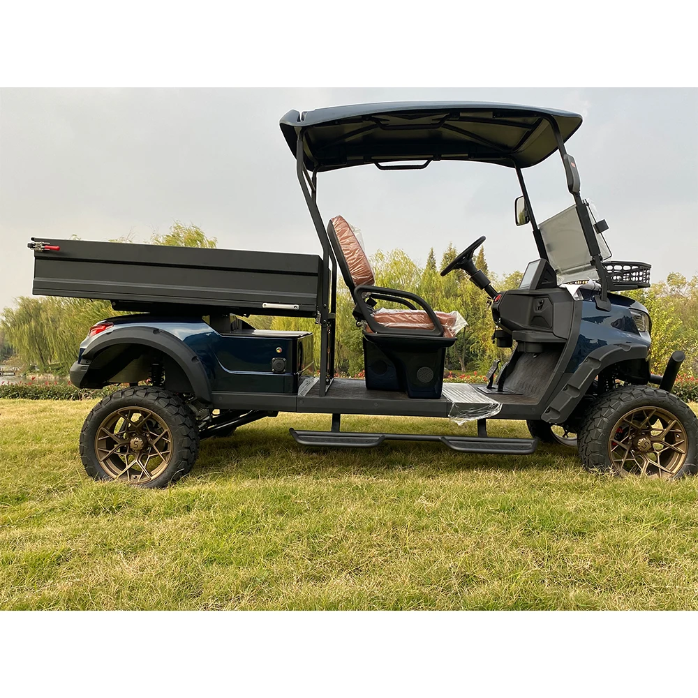 "oem Odm Mini Utility Vehicle Powerful Lifted Delivery Truck Vehicle