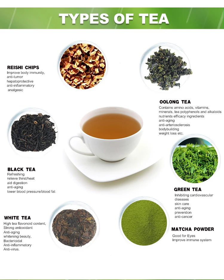 Chinese Green Tea Wholesale Free Sample Private Label 100 Organic