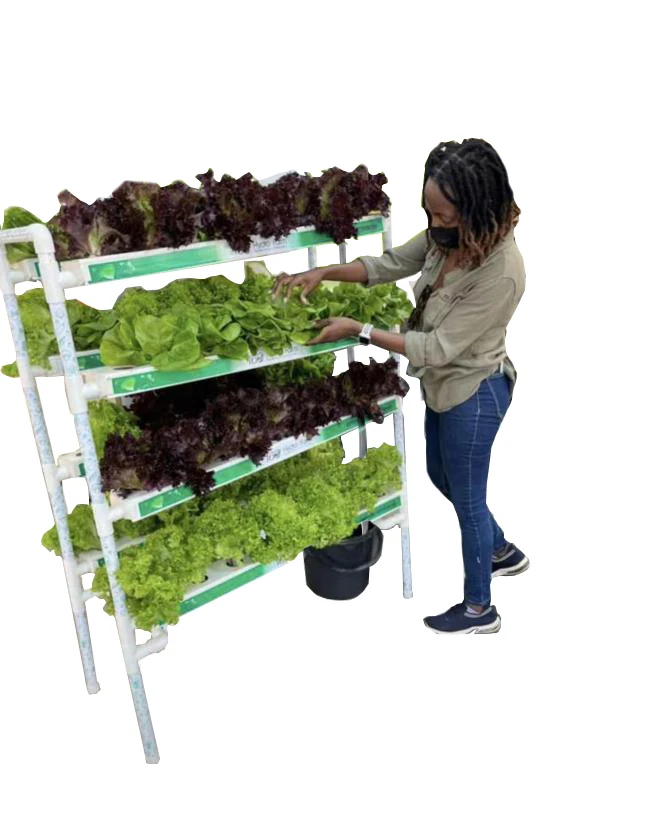 idoo hydroponics growing system