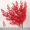 Hexagram Holly Red Fruit Branch