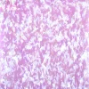 LB0101