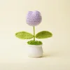 Plantas en maceta de tulipán de color violeta claro