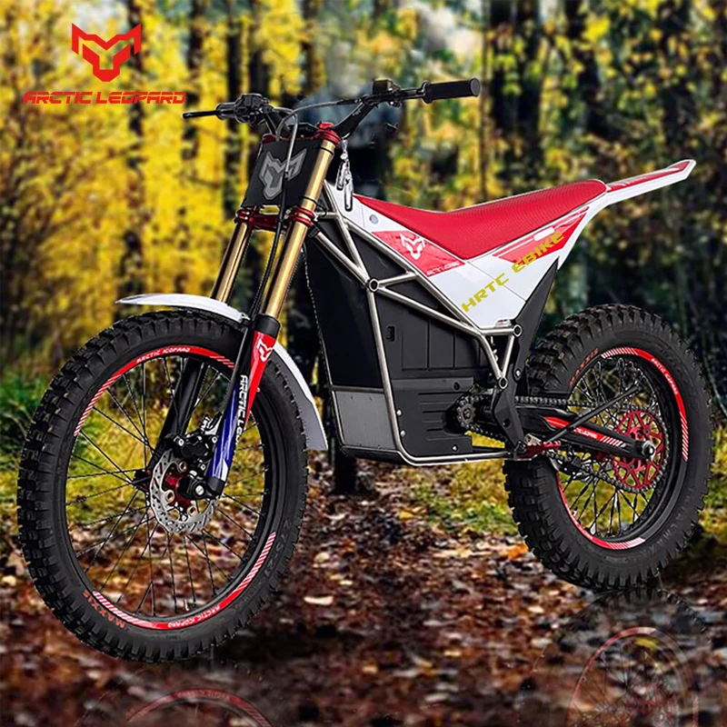 Arctic Leopard E-XT560 Electric Motorcycle - High Power off