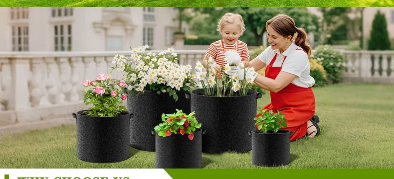 1 Gallon Traditional Farmhouse Design Black Durable Non-Woven Fabric Grow Bags Handles 260-400 Thickness for Garden Outdoor Use manufacture