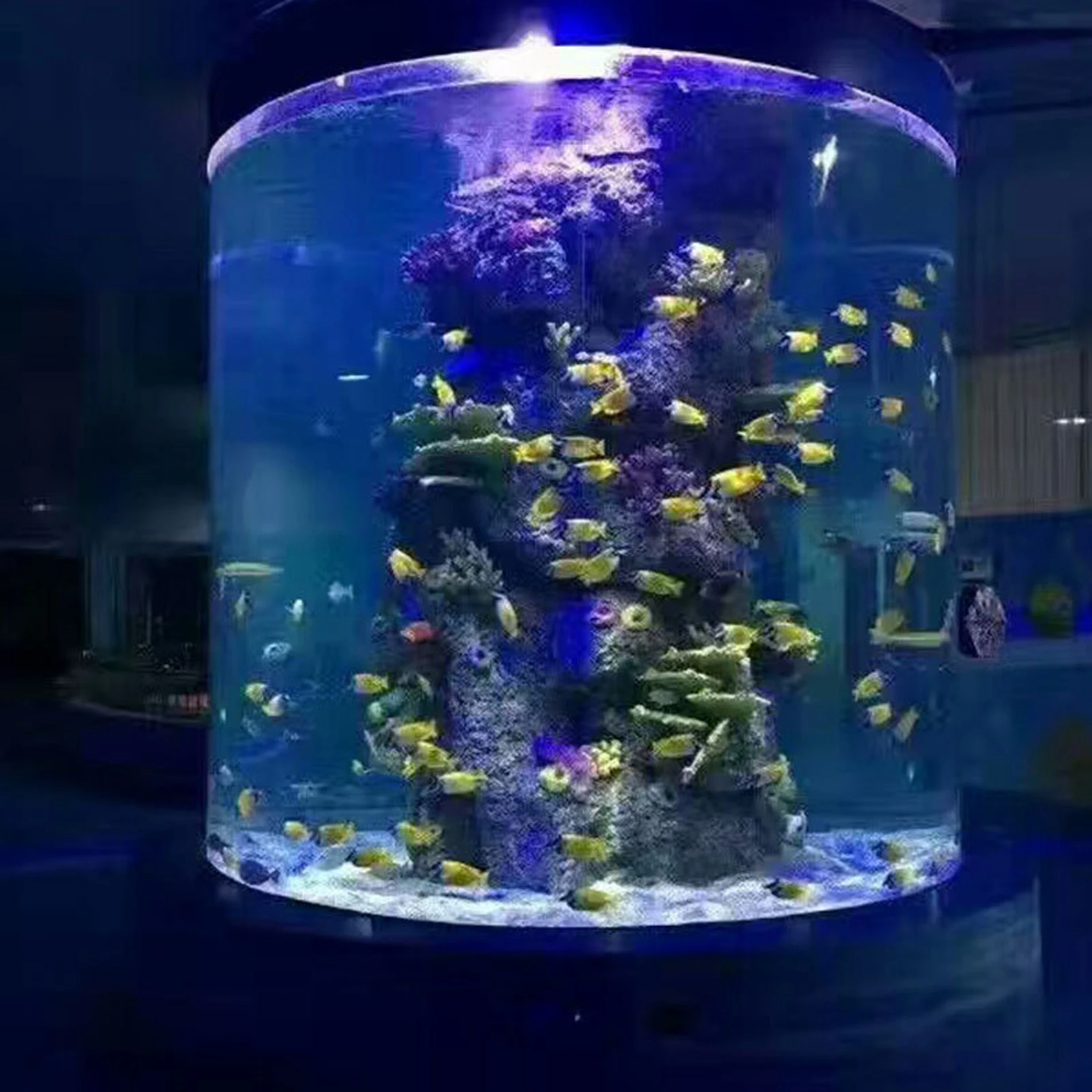 Transparent Acrylic Aquarium Fish Tank Sustainable Durable