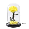 12 giallo