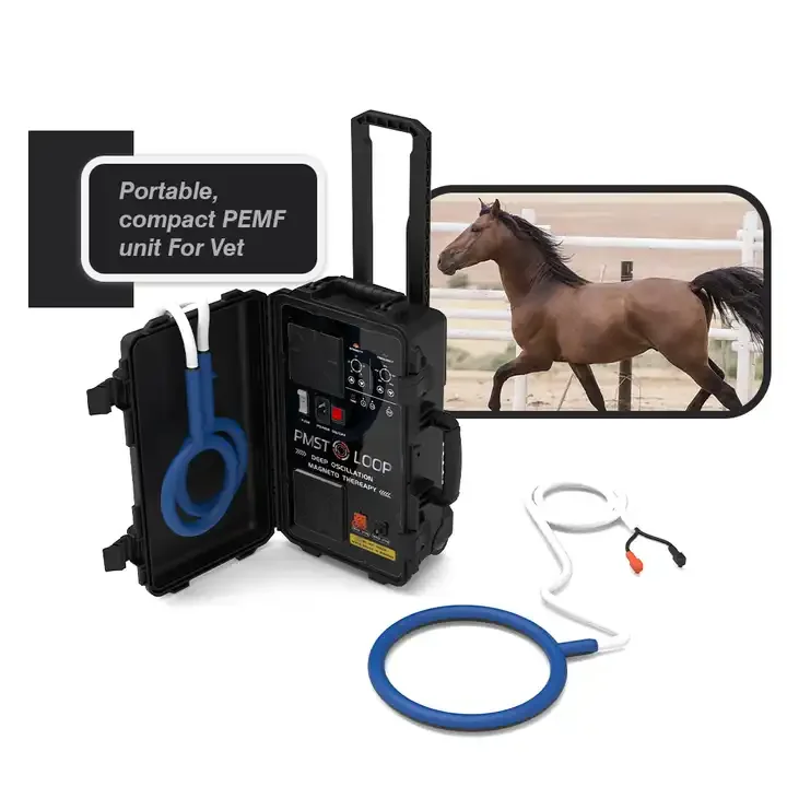 High Power Magnawave Pulse Electromagnetic Field PEMF Machine PMST LOOP for Human Animal Physiotherapy Device