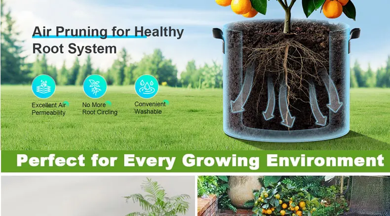 1 Gallon Traditional Farmhouse Design Black Durable Non-Woven Fabric Grow Bags Handles 260-400 Thickness for Garden Outdoor Use factory