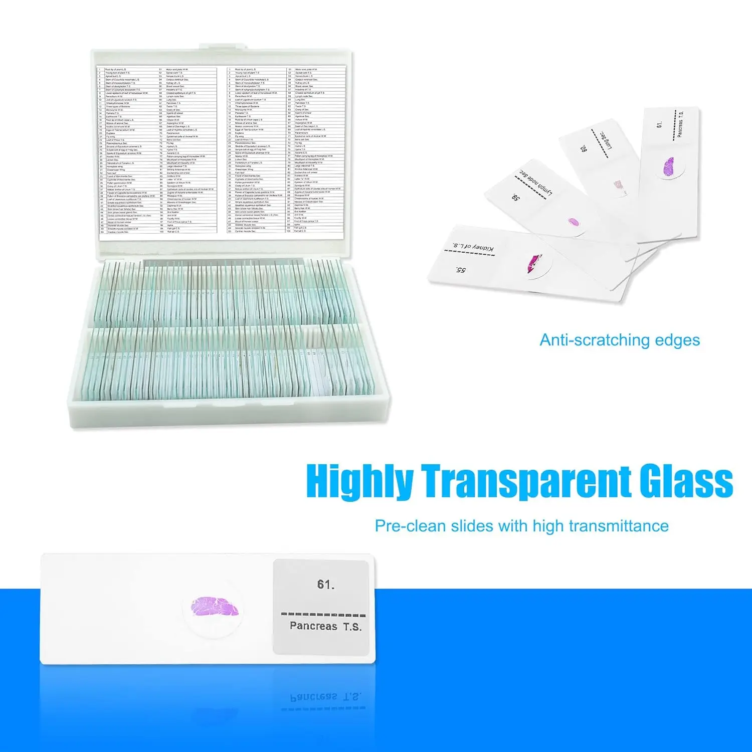 Factory Glass Slides Prepared Microscope Slide For Lab Equipment Use ...