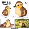 Canards sauvages colorés 4223 pour bébés