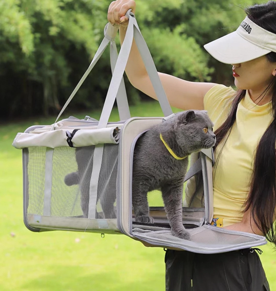 Hot Selling Wholesale Personalized Crossbody Pet Carrier with Easy to Clean Material Pet Travel Bag for Pet