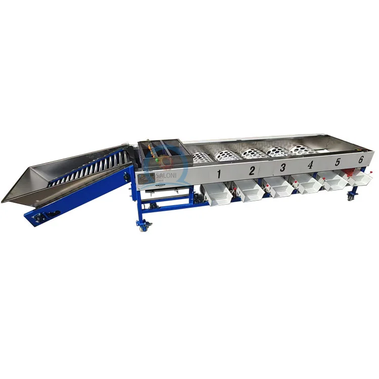 Fully Automatic mango Date Cherry Vegetable Fruit Olive Garlic Size Grading Sorting Machine for Fruit and Table