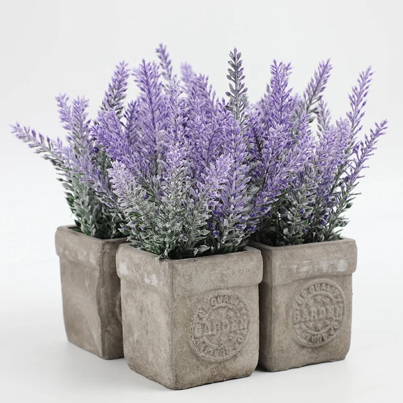 plant therapy lavender essential oil Plant Therapy