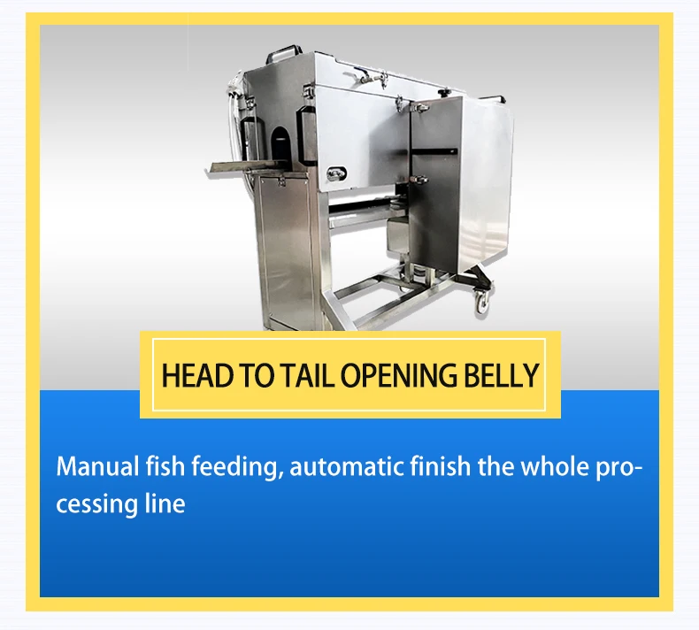 Tca Full Automatic Canned Sardines Fish Processing Packaging Line