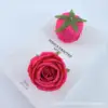 Rose red