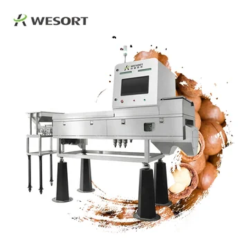 高精度デュアルエネルギーX線スマートカラーシェイプソーターAI