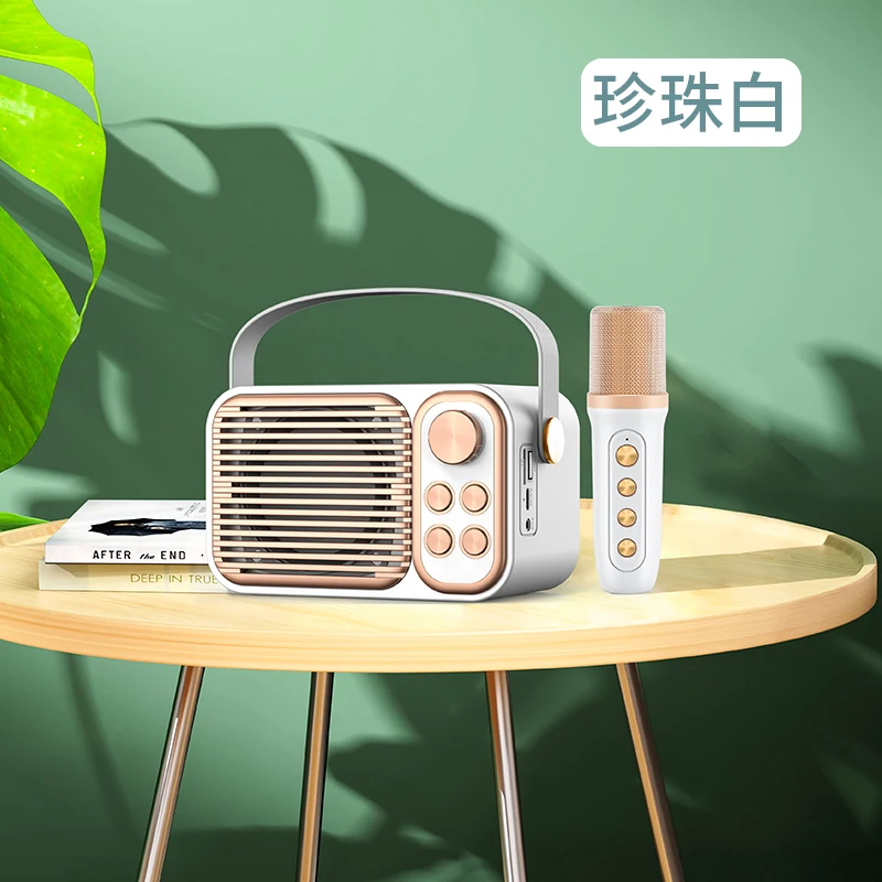 YS104 TV Shape Delicate Design Top Quality 3 Inch 10w 4 Ohm Horn Outdoor Speaker Vocal Cut Portable Speakers With Strap