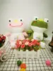 Frog-20-25cm