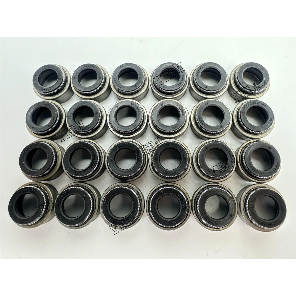M11 Valve Oil Seal 4003966 for Industrial Engine
