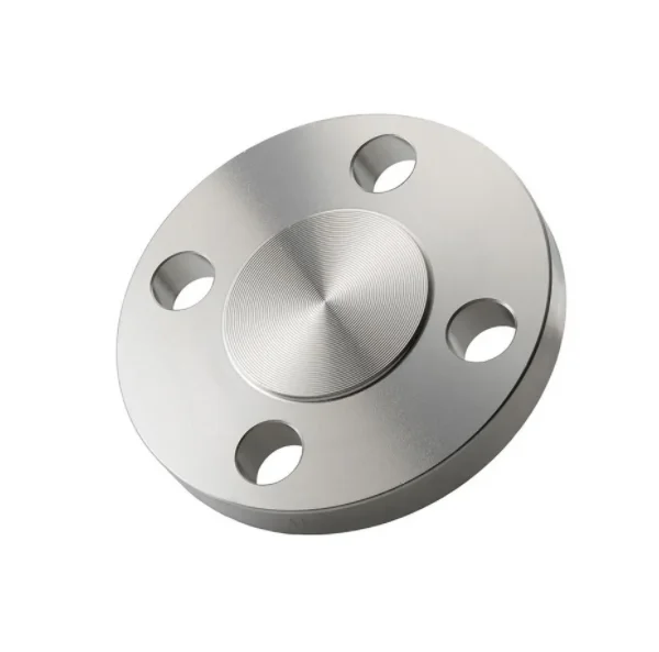 Blind Flange Customized Size Thickness