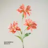 Coffee-colored double-petaled lily
