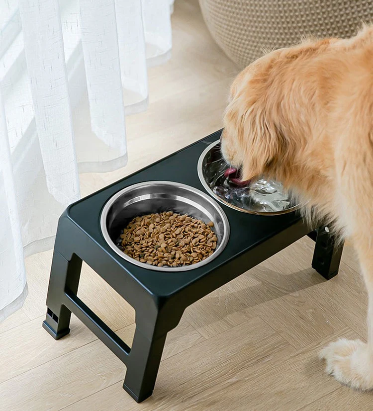 Elevated Dog Bowls 4 Adjustable Heights Raised Stand With Slow Feeder