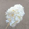 Bianco latte