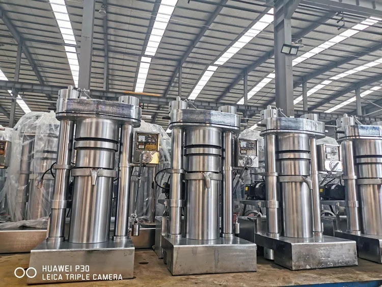 Automatic Cold Coconut Oil Press Machine Sunflower Oil Presser for Palm Soybean Almond Sesame Oils