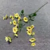 1#