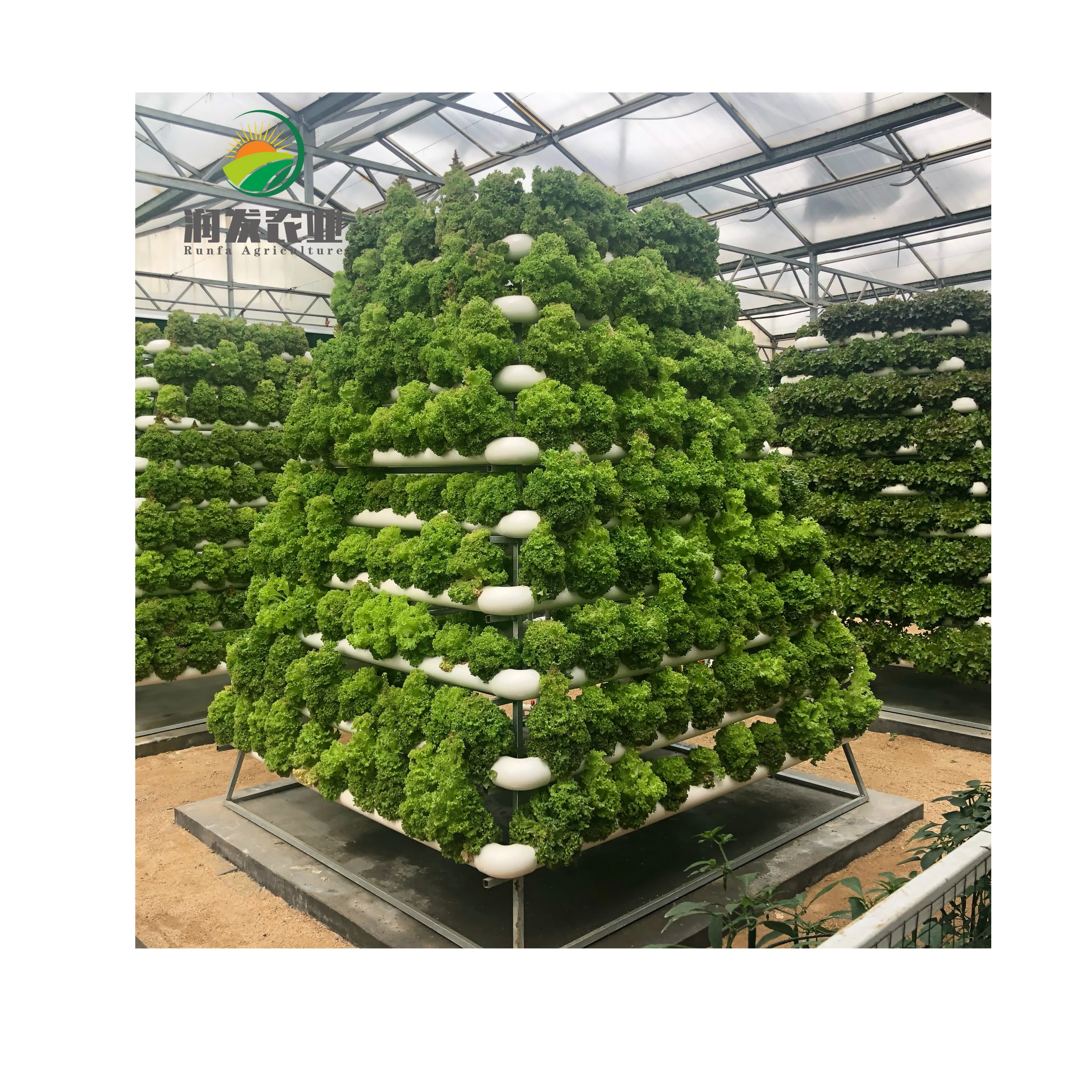Eco-Friendly Complete Automatic Hydroponic Growing Systems 220 Holes Tomato Chili Water Saving Vertical Gardening System