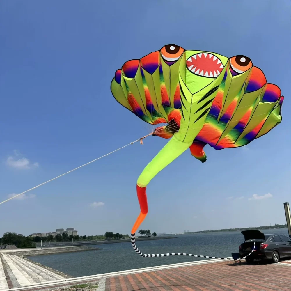 3D 12.5M 2-color Ray Soft Kite Outdoor Beach Professional Kites Umbrella Cloth Waterproof and Tear Resistant Inflatable Kite