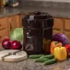 5L Brown