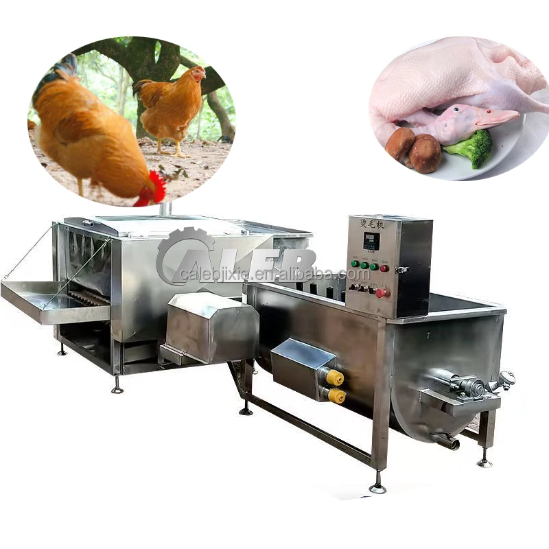 Automatic Slaughtering Equipment Pig Dehair Machine Hog Cleaning ...