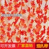 36 encrypted red maple leaves (12 pieces)