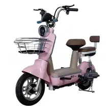 China Factory Electric City Bike 2 seater 48V 350W electric scooter EV bike E Cycle Electric Bicycle without battery