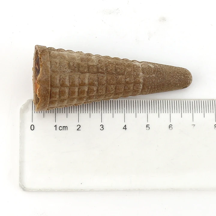 chocolate cone